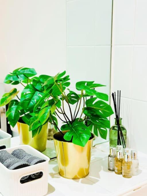 Apartment Centre Retreat
